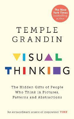 Kniha Visual Thinking : The Hidden Gifts of People Who Think in Pictures, Patterns and Abstractions