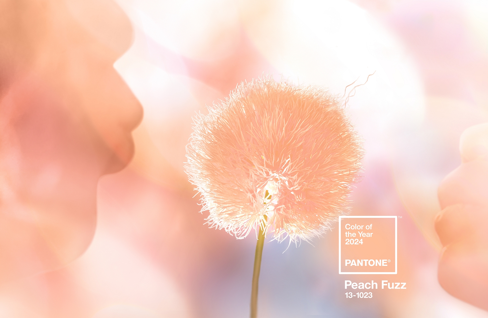 Pútko na kľúče S PANTONE Peach Fuzz 13-1023 (farba roku 2024)