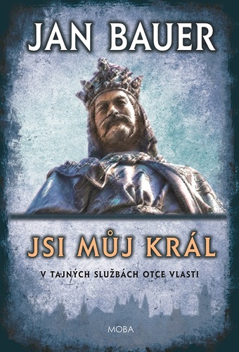 Jsi můj král - Jan Bauer kúpite na Panta Rhei