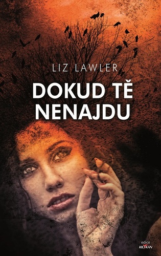 Dokud tě nenajdu