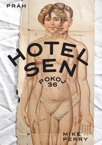 Kniha Hotel Sen, pokoj 36 - Mike Perry