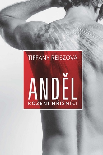 Kniha Anděl - Tiffany Reisz