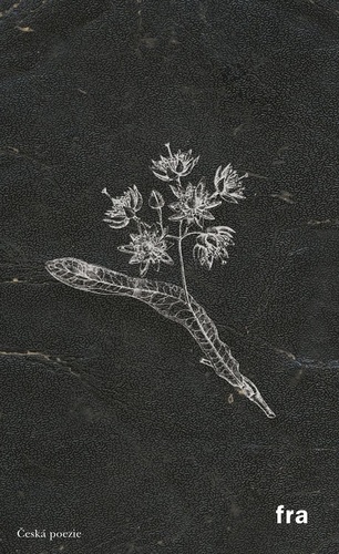 Kniha Herbář k čemusi horšímu - Petr Borkovec