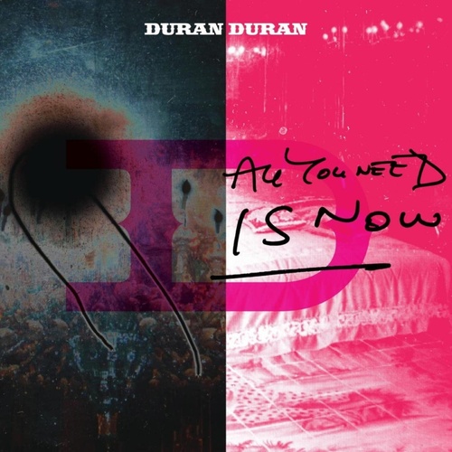 Kniha Duran Duran - All You Need Is Now 2LP