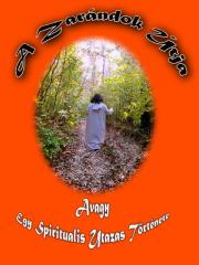 Kniha A zarándok útja - Győri Zsolt