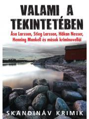 Valami a tekintetében