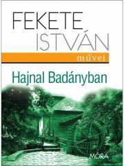 Kniha Hajnal Badányban - István Fekete