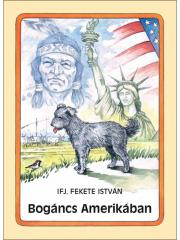 Kniha Bogáncs Amerikában - István Fekete