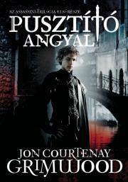 Kniha Pusztító angyal - Grimwood John Courtenay