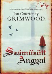 Kniha Száműzött angyal - Grimwood John Courtenay