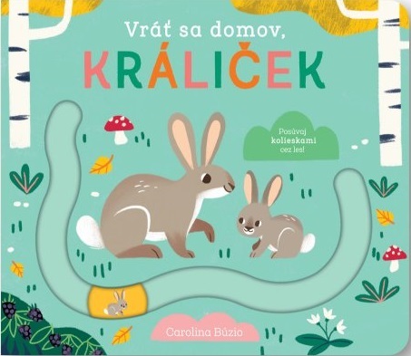 Kniha Vráť sa domov - králiček