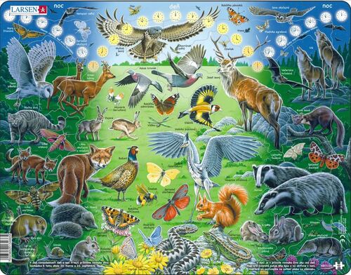 Puzzle Noc a deň v prírode Larsen NB11-GB