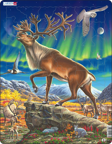 Puzzle Sob Larsen FH26-ZZ