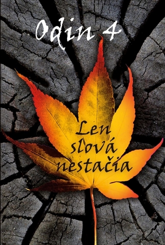 Kniha 4 - Len slová nestačia