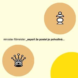 Kniha Aspoň že postel je pohodlná... - Miroslav Fišmeister