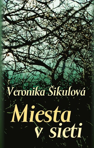 Kniha Miesta v sieti - Veronika Šikulová
