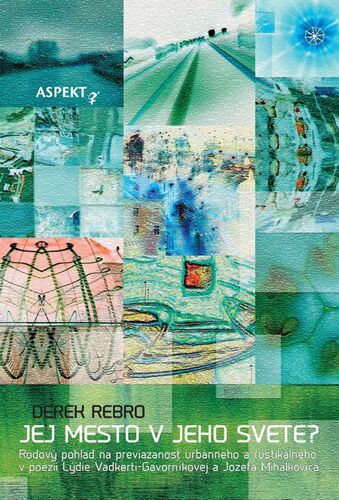 Kniha Jej mesto v jeho svete? - Derek Rebro