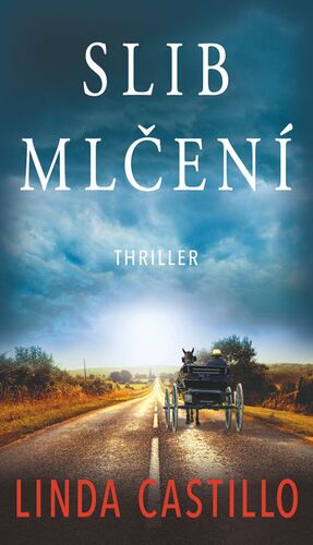 Kniha Slib mlčení - Linda Castillo