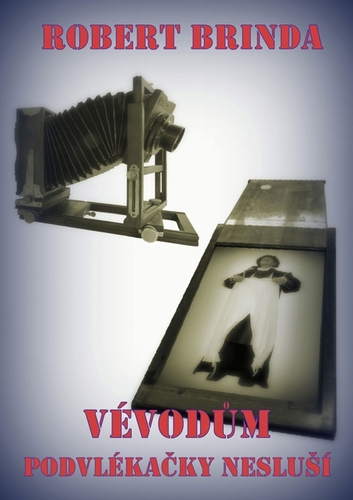 Kniha Vévodům podvlékačky nesluší - Robert Brinda