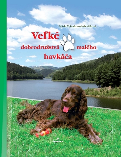 Kniha Veľké dobrodružstvá malého havkáča - Mária Ševčíková-Vrkoslavová