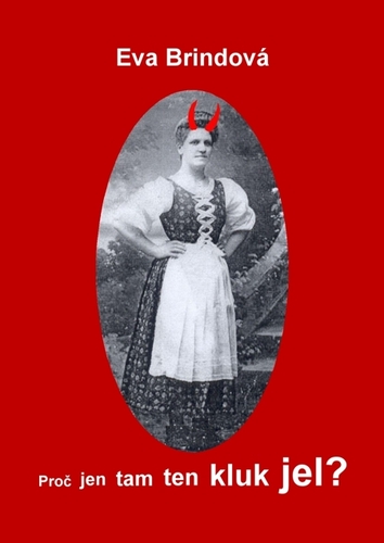 Kniha Proč jen tam ten kluk jel? - Eva Brindová