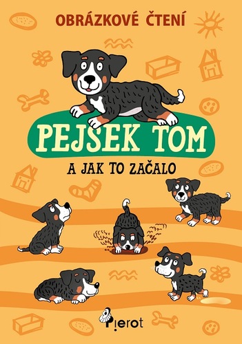 Kniha Pejsek Tom a jak to začalo - Petr Šulc