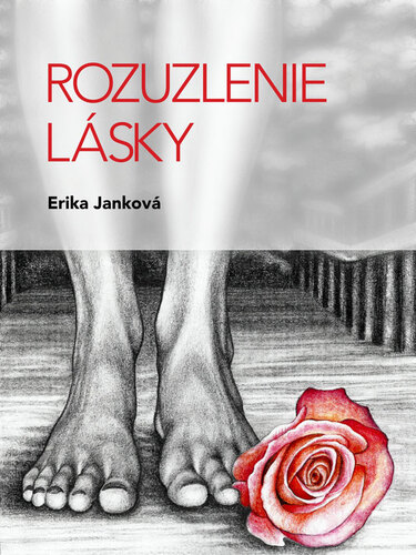Kniha Rozuzlenie lásky - Erika Janková