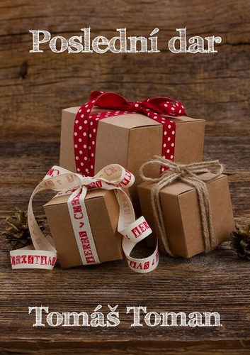 Kniha Poslední dar - Tomáš Tománek