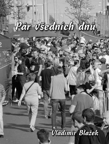 Kniha Pár všedních dnů - Vladimír Blažek