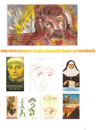 Kniha Liečba chorôb čajovinami sv. Damána a Kozmu podľa diagnóz - Karol Minarčík,Mária Harničárová a kolektív