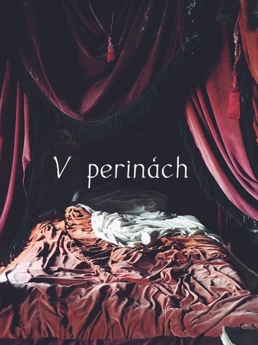 Kniha V perinách - Rebeka Ölvecká