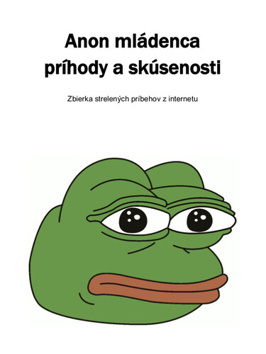Kniha Anon mládenca príhody a skúsenosti - Kolektív 4chan Anonov