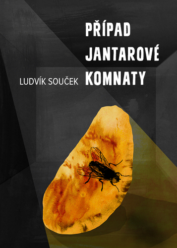 Kniha Případ Jantarové komnaty - Ludvík Souček