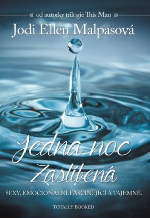 Kniha Jedna noc: Zaslíbená - Jodi Ellen Malpas