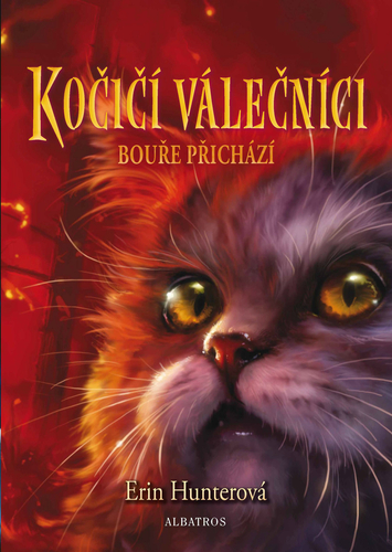 Kniha Kočičí válečníci (4) - Bouře přichází - Erin Hunterová
