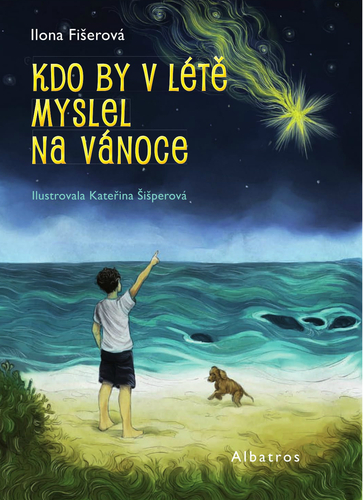 Kniha Kdo by v létě myslel na Vánoce - Ilona Fišerová