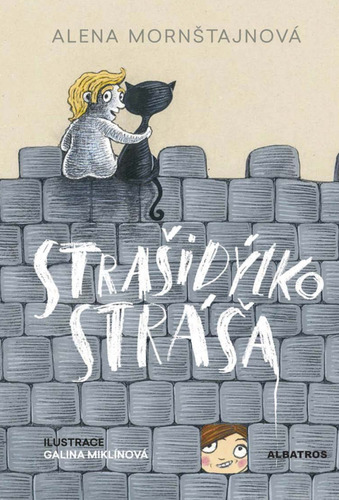 Kniha Strašidýlko Stráša - Alena Mornštajnová