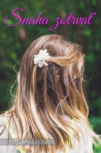 Kniha Snaha zotrvať - Iveta Čavojská,rod. Chudá