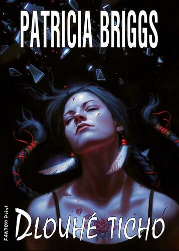 Kniha Dlouhé ticho - Patricia Briggs