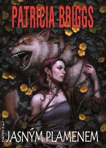 Kniha Jasným plamenem - Patricia Briggs