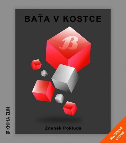 Kniha Baťa v kostce - Zdeněk Pokluda