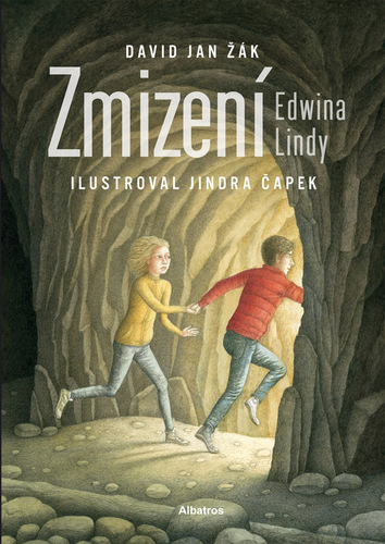 Kniha Zmizení Edwina Lindy - David Jan Žák