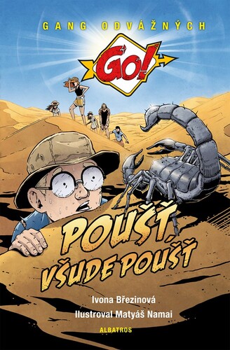 Kniha Poušť, všude poušť - Ivona Březinová