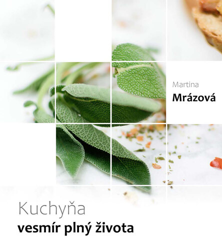 Kniha Kuchyňa - vesmír plný života - Martina Mrázová