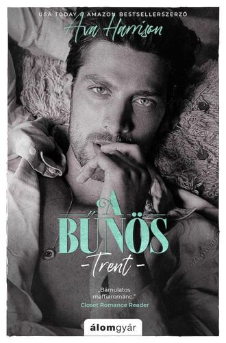 Kniha A bűnös - Trent - Ava Harrison