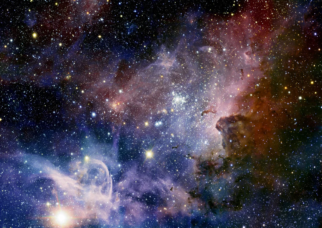 Puzzle Hmlovina Carina 1000 Enjoy