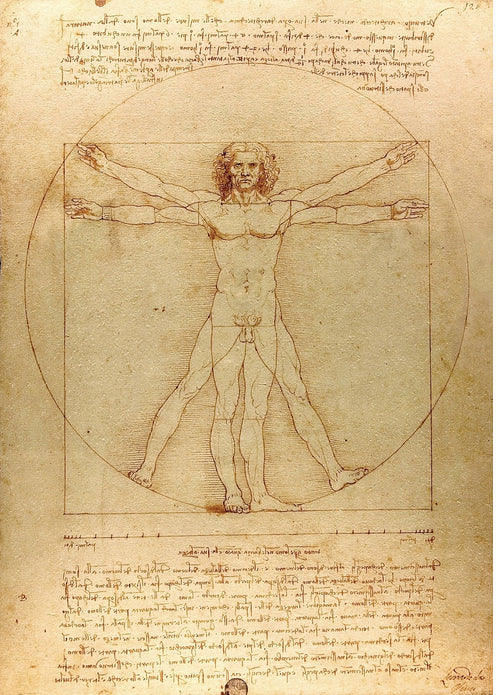 Puzzle Leonardo da Vinci: Vitruviánsky muž (The Vitruvian Man) 1000 Enjoy
