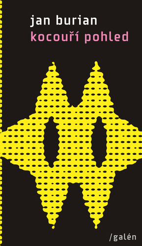 Kniha Kocouří pohled - Jan Burian