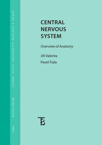 Kniha Central Nervous System - Pavel Fiala,Valenta Jiří