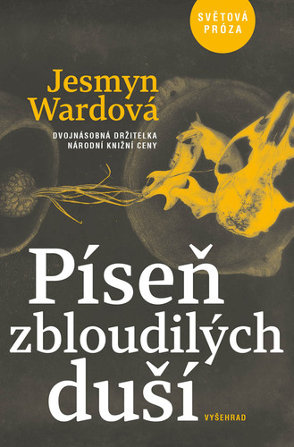 Kniha Píseň zbloudilých duší - Jesmyn Wardová